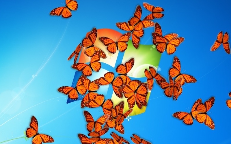 Download Butterfly On Desktop